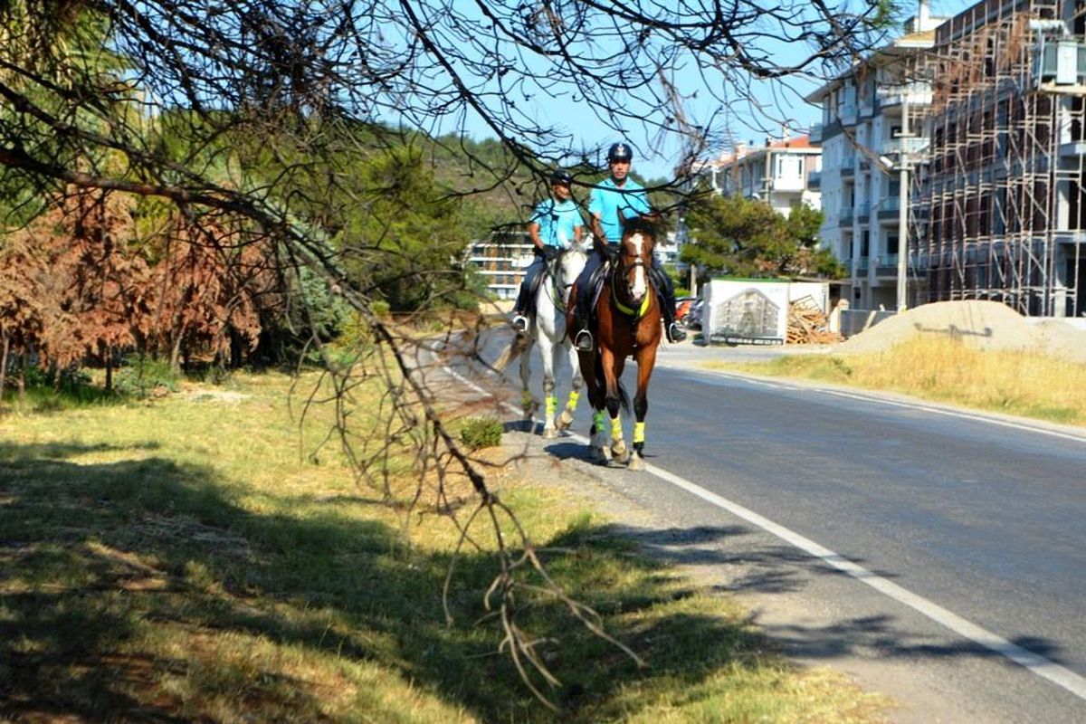 Ayvalık\'ta orman yangınlarına karşı atlı jandarma önlemi