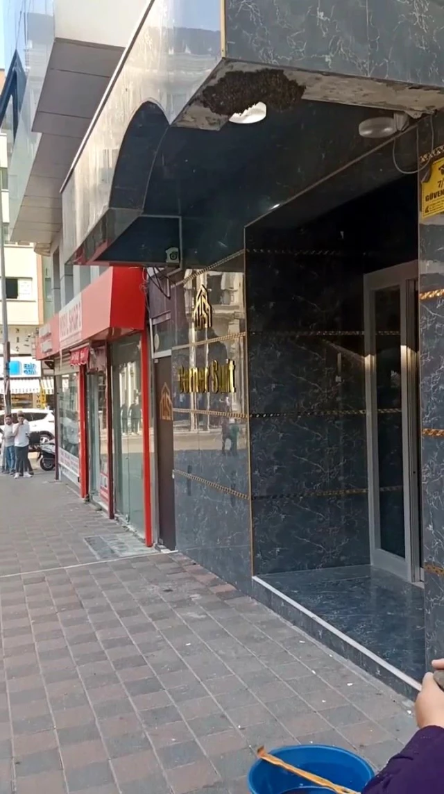 Bursa'da kraliçe arı ortalığı karıştırdı Bursa'da kraliçe arı ortalığı karıştırdı