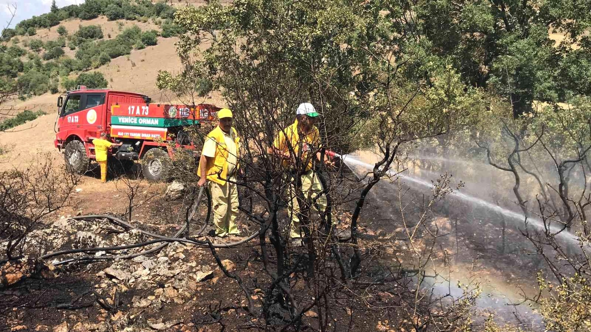 Çanakkale\'de çıkan yangın ormanlık alana sıçramadan söndürüldü