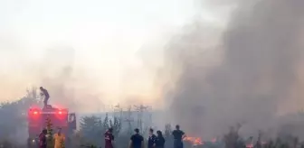 Edirne'de, Meriç Nehri kıyısında çıkan otluk yangını söndürüldü