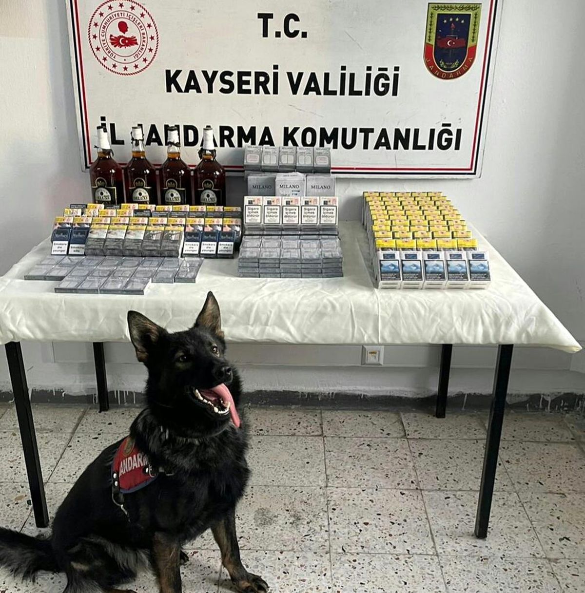 Jandarmadan kaçak sigara ve alkol operasyonu