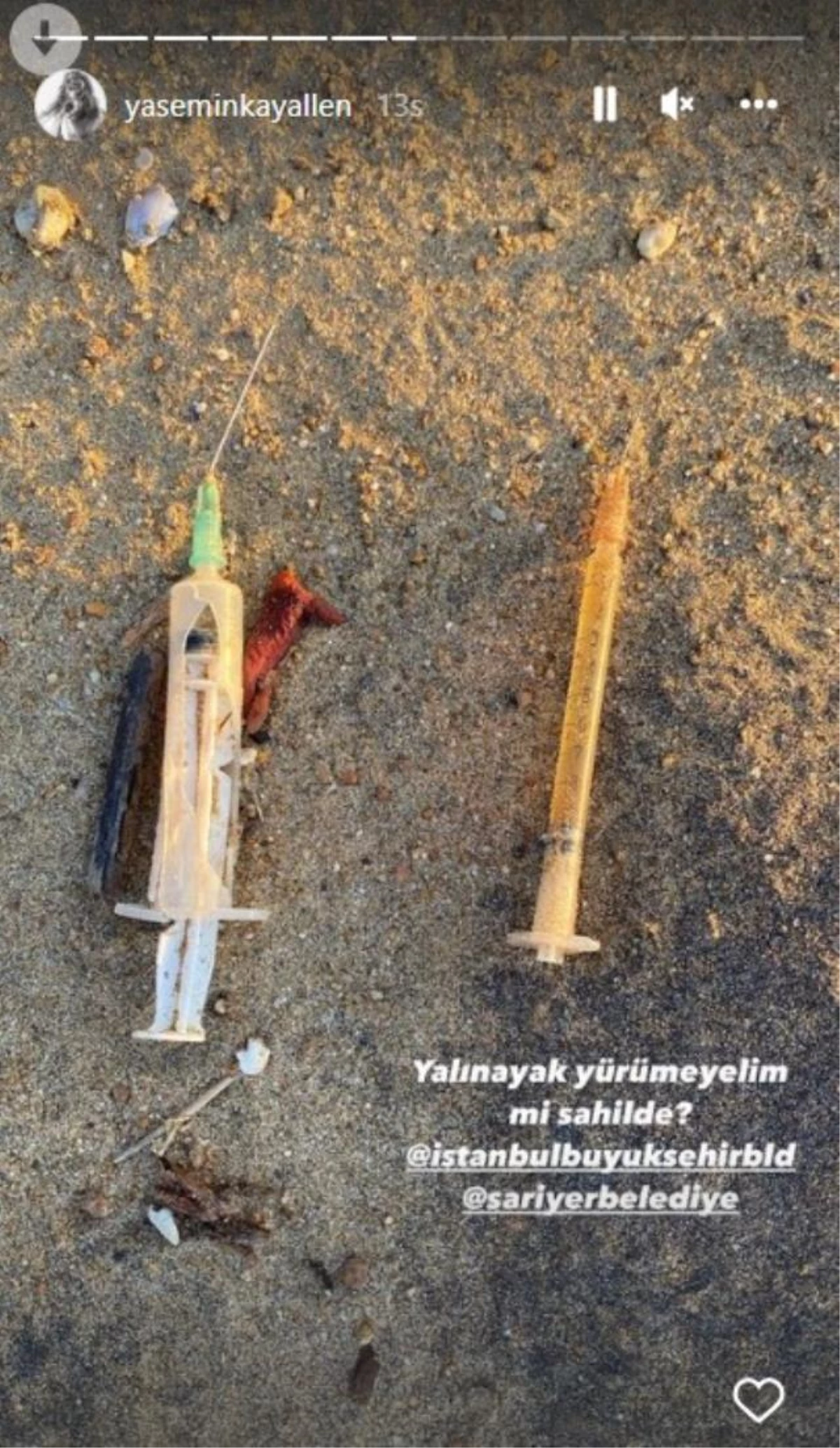 Oyuncu Yasemin Kay Allen, Kilyos Sahili\'nde ölen yunus balığını ve atıklarını paylaşarak sert tepki gösterdi: Bu bir skandaldır