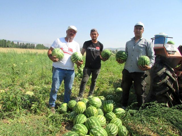 Pandemide işsiz kalıp köyüne döndü, şimdi yaptığı iş sayesinde paraya para demiyor Pandemide işsiz kalıp köyüne döndü, şimdi yaptığı iş sayesinde paraya para demiyor