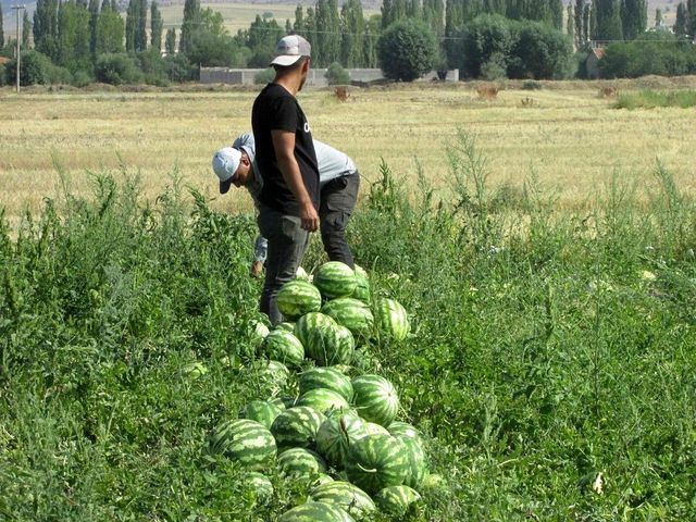Pandemide işsiz kalıp köyüne döndü, şimdi yaptığı iş sayesinde paraya para demiyor Pandemide işsiz kalıp köyüne döndü, şimdi yaptığı iş sayesinde paraya para demiyor