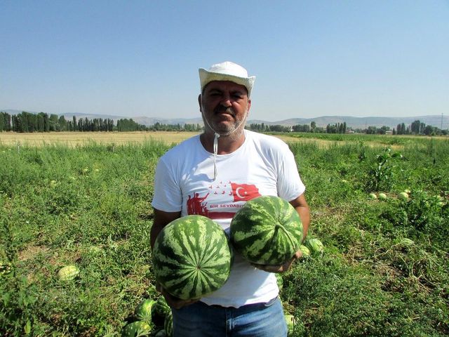 Pandemide işsiz kalıp köyüne döndü, şimdi yaptığı iş sayesinde paraya para demiyor Pandemide işsiz kalıp köyüne döndü, şimdi yaptığı iş sayesinde paraya para demiyor