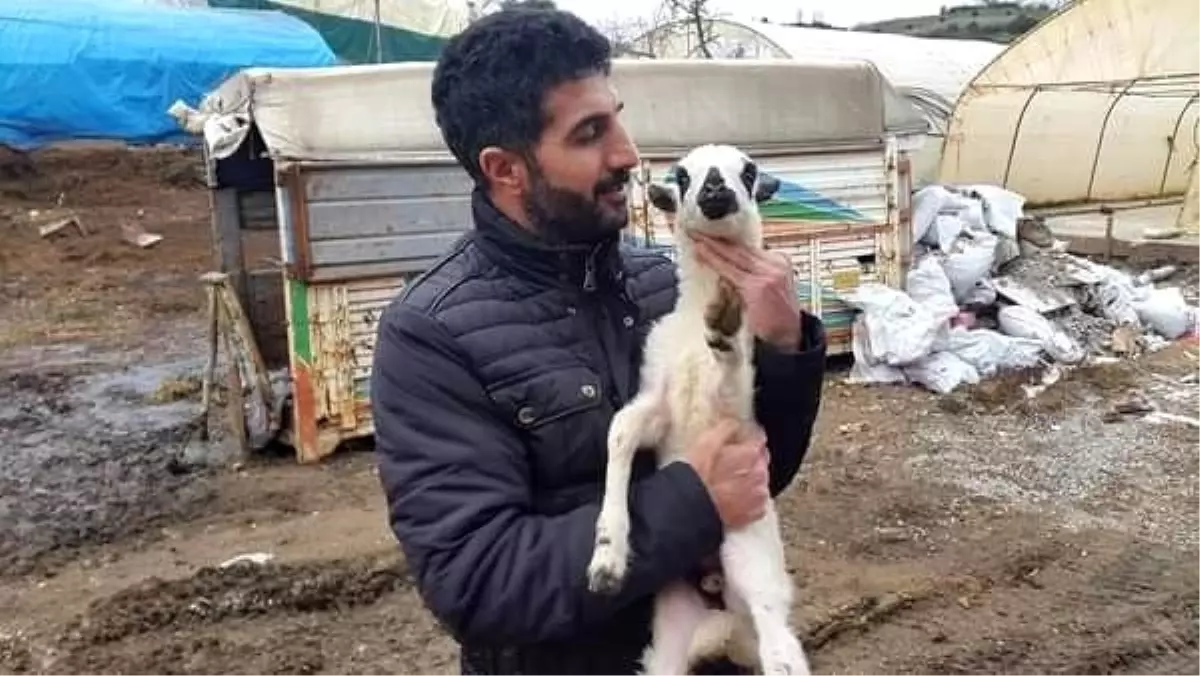 Pendik\'te kaybolan adamın cesedi 5 yıl sonra toprağa gömülü halde bulundu