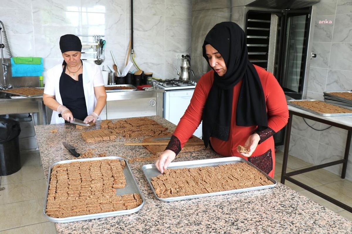 Safranbolu Kıtır\'ında Bir Yılda 2 Tonun Üzerinde Üretim