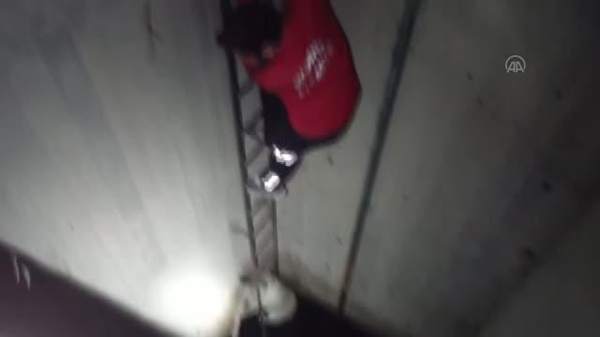 Niğde\'de su kuyusuna düşen köpeği itfaiye kurtardı