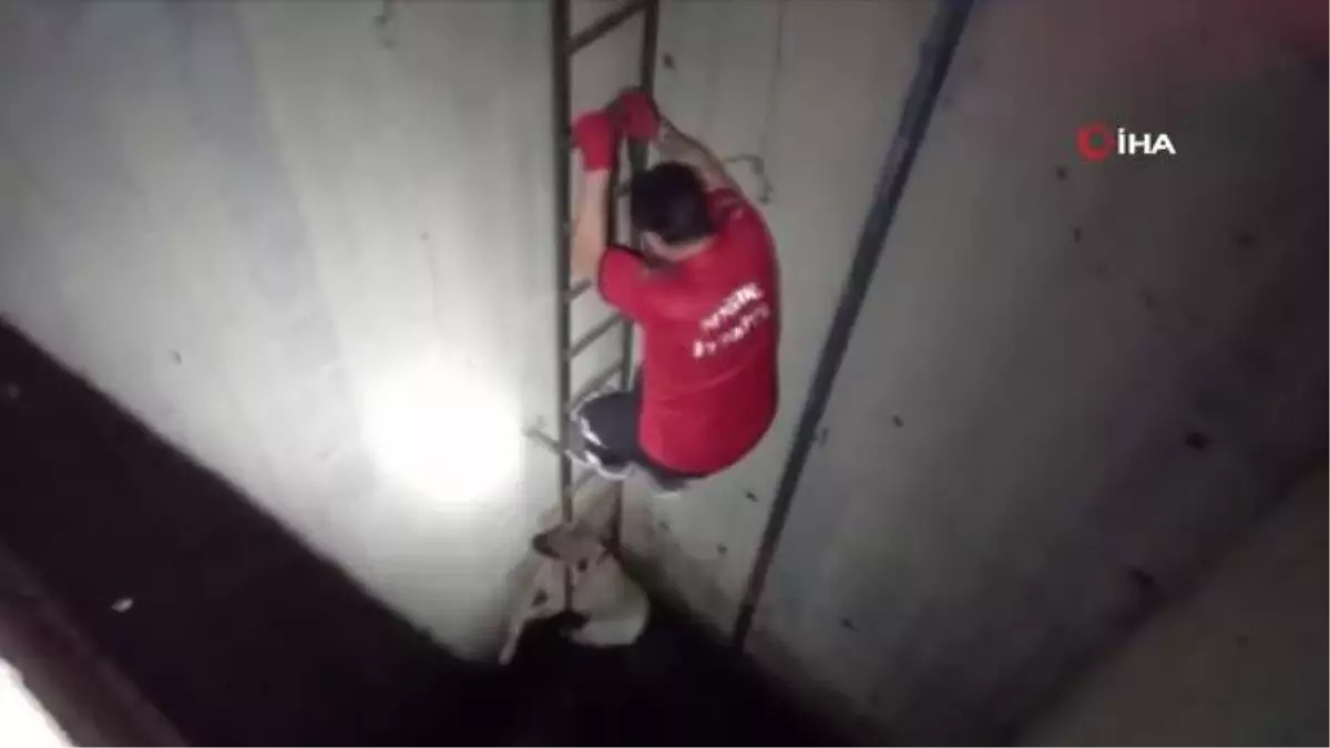 Su kuyusuna düşen köpek böyle kurtarıldı