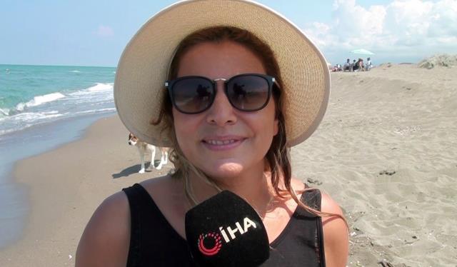 Türkiye'de yolda görürseniz koparmak değil, elinizi bile sürmeyin! Cezası 80 bin TL