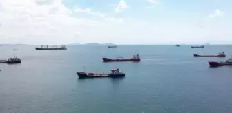 Ukrayna'dan gelen mısır yüklü 'Glory' ve 'Riva Wind' adlı gemilerde denetim yapıldı