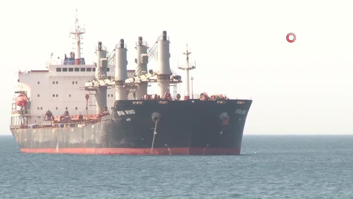 Ukrayna\'dan gelen "Riva Wind" isimli gemide denetimler yapılıyor
