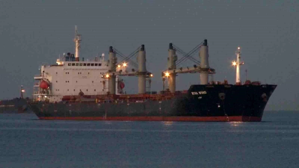 Ukrayna\'dan yola çıkan tahıl yüklü iki gemi \'Glory\' ve \'Riva Wind\' İstanbul Boğaz\'ından geçti