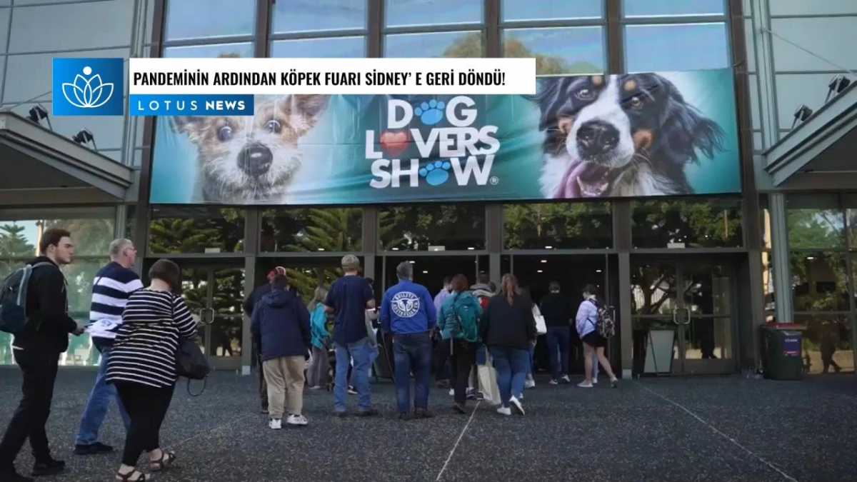 Video: Köpek Severler Fuarı Üç Yıllık Aranın Ardından Sidney\'e Geri Döndü