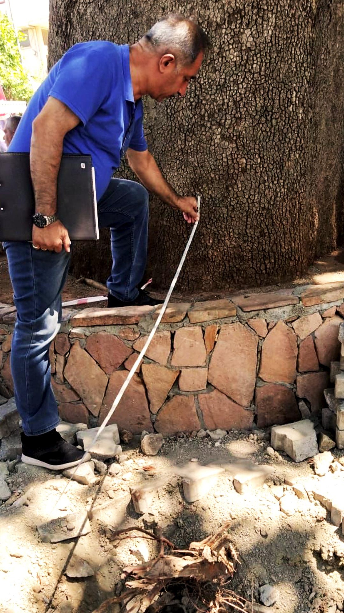 Adıyaman\'da 270 yıllık anıt ağaca zarar verenler hakkında suç duyurusunda bulunulacak