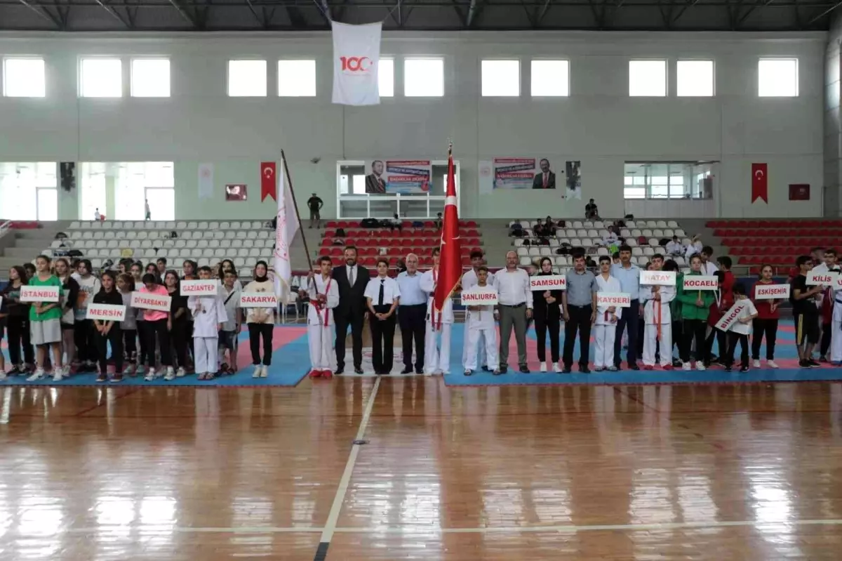 Anadolu Yıldızları Ligi karate finalleri İskenderun'da başladı