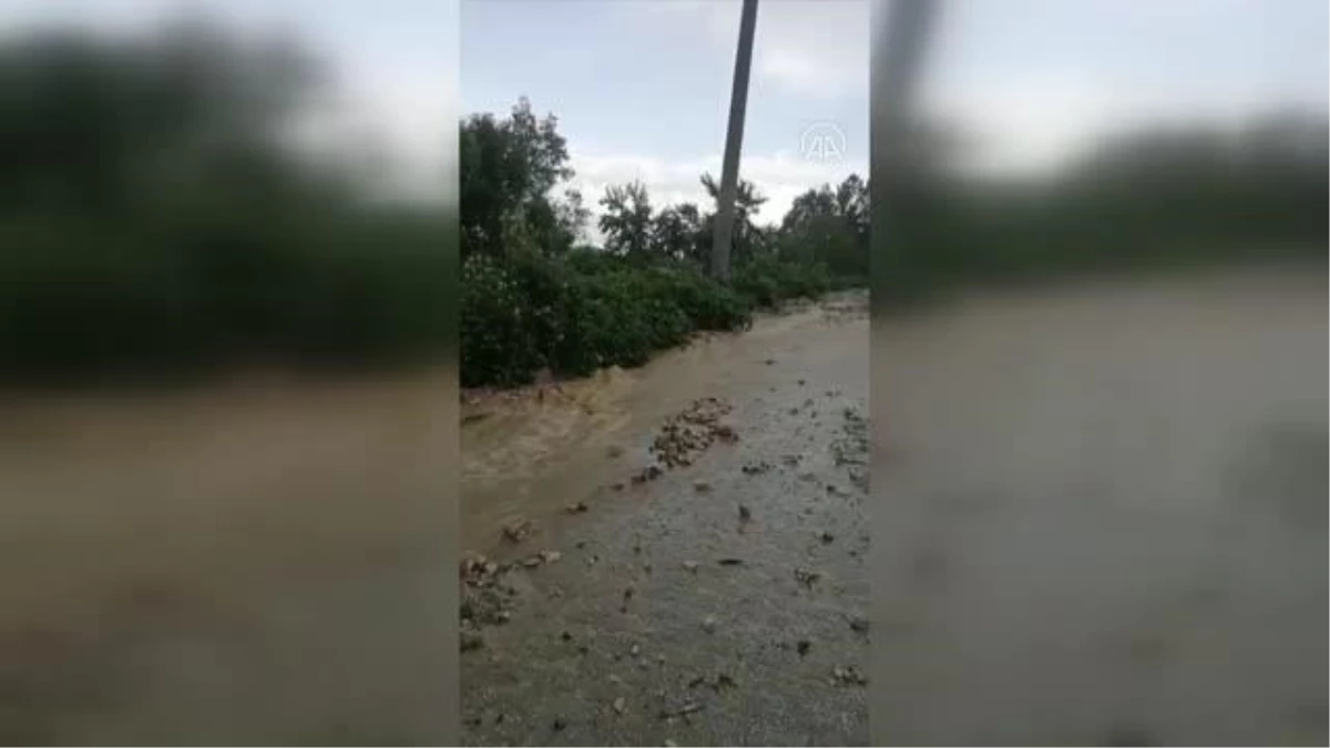 Düzce'de aşırı yağış, taşkına neden oldu