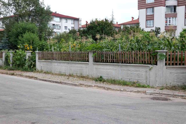 Bahçesinden mısır alan 3 kız çocuğunu tekme ve yumrukla darp etti Bahçesinden mısır alan 3 kız çocuğunu tekme ve yumrukla darp etti