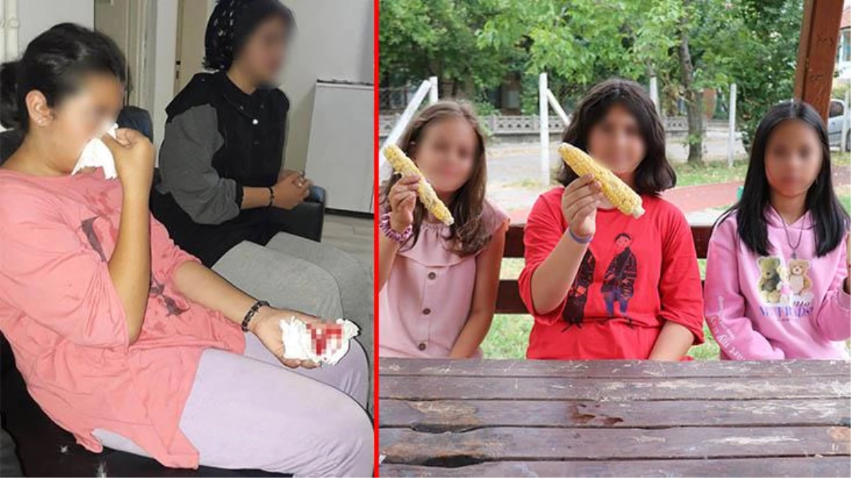 Bolu\'da bir adam, bahçesinden izinsiz mısır alan 12 yaşındaki çocukları tekme tokat dövdü! Kız çocukları yaşadıkları dehşet anlarını anlattı