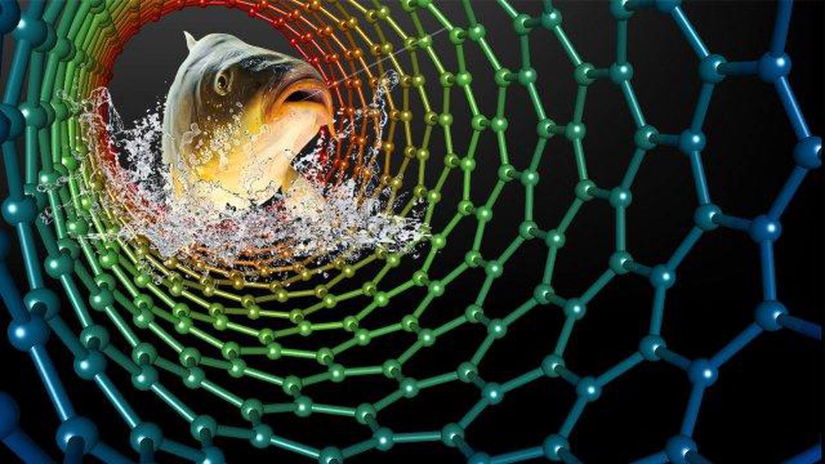Balık atıkları ile LED üretilecek!