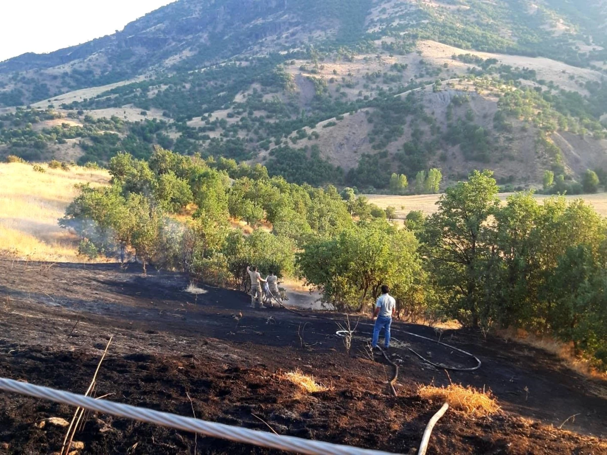 Bingöl\'de otluk alanda çıkan yangın büyümeden söndürüldü