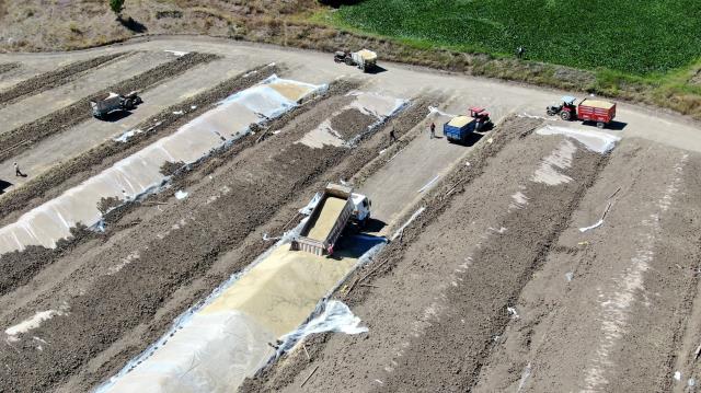 Buğday hasadında rekolte zirve yaptı, ambarlara sığmayan mahsul toprağa gömüldü Buğday hasadında rekolte zirve yaptı, ambarlara sığmayan mahsul toprağa gömüldü