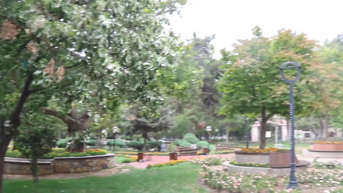 Burdur\'da Sağanak Yağış Etkili Oldu, Kuvvetli Rüzgar Ağaçları Devirdi