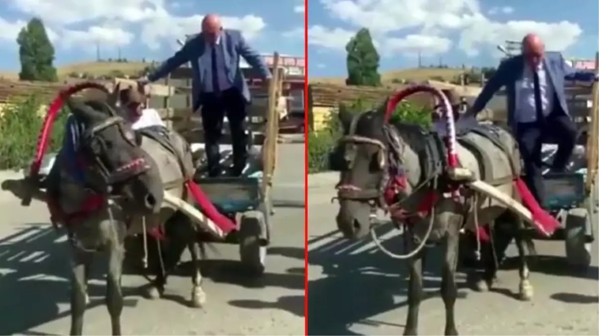 CHP'li Mahmut Tanal'a beklemediği yanıt! At arabasından inmesi sosyal medyanın gündemine oturdu