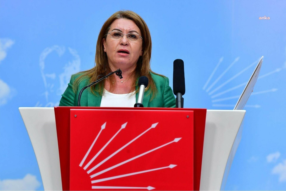 Gülizar Biçer Karaca: "Göç ve Sığınmacı Masası, Çalışmalarını Tamamladı; Raporu 6 Siyasi Partinin Genel Başkanına Sunacağız"