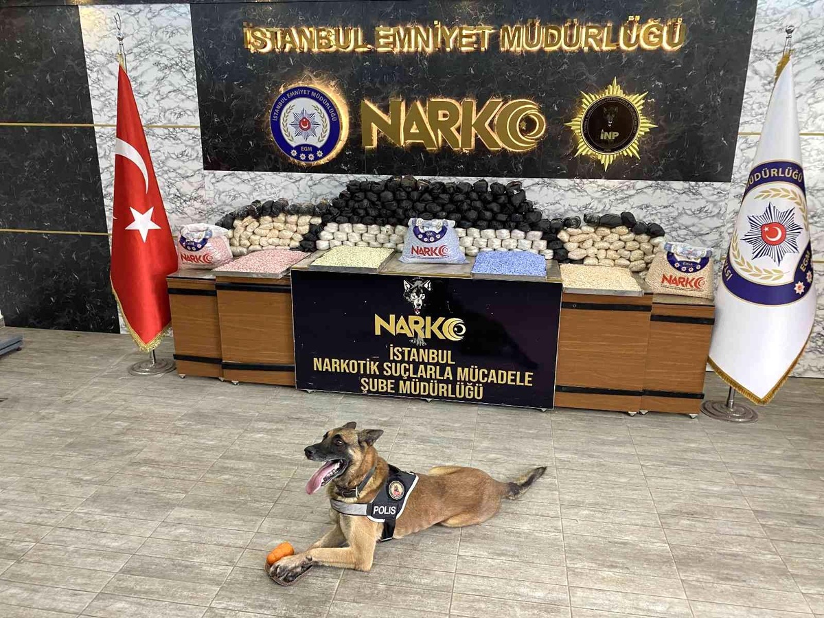 İstanbul\'da narkotik operasyonu: 72 kilo esrar ile yüz binlerce uyuşturucu hap ele geçirildi