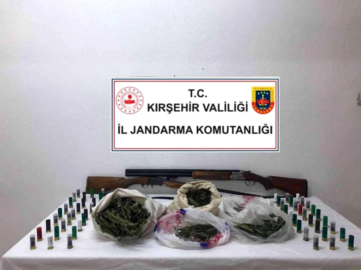 Jandarmadan uyuşturucu operasyonu: 1 gözaltı