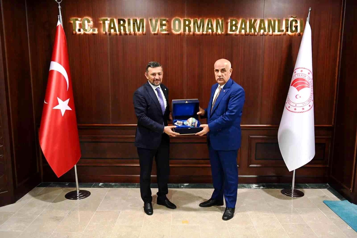 "Küçük arazilerden verim alamıyoruz, toplulaştırma istiyoruz"
