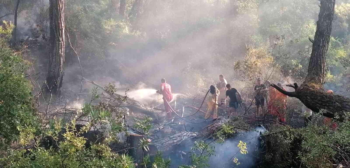 Manavgat\'taki orman yangını büyümeden söndürüldü