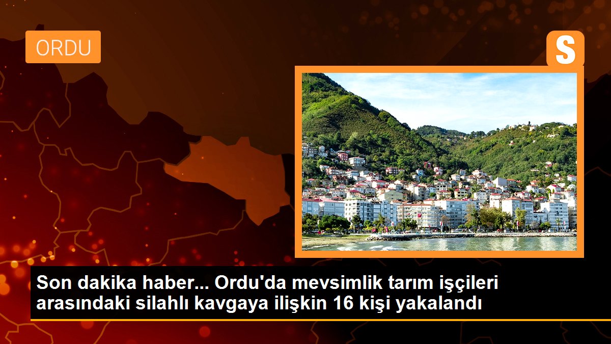Ordu\'da mevsimlik tarım işçileri arasındaki silahlı kavgaya ilişkin 16 kişi yakalandı