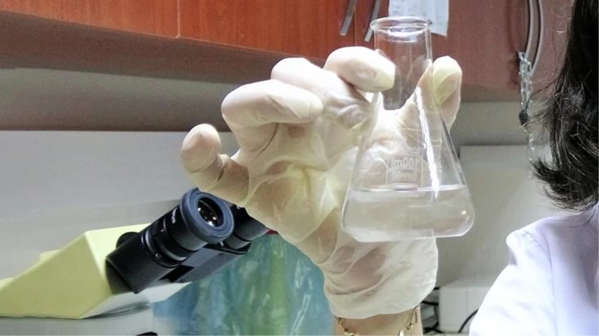 Prof. Dr. Bilge Hilal Çadırcı\'dan dikkat çeken çalışma: Tokat\'taki kaplıca sularının kanserli hücreleri öldürdüğü tespit edildi