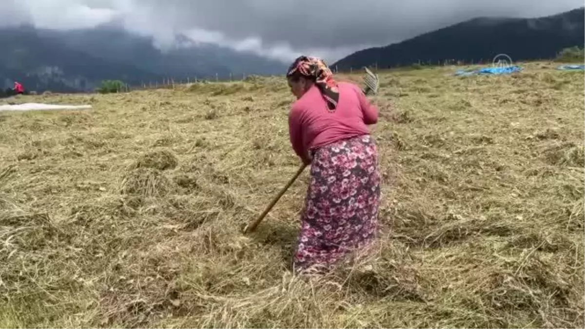 Türkiye\'nin kalbine gömdüğü Eren Bülbül\'ün şehadetinin üzerinden 5 yıl geçti