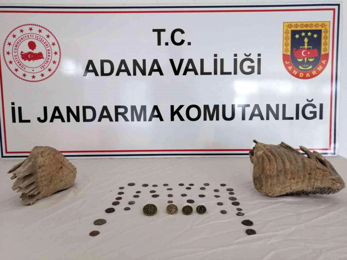 Adana\'da mamut fosili ele geçirildi
