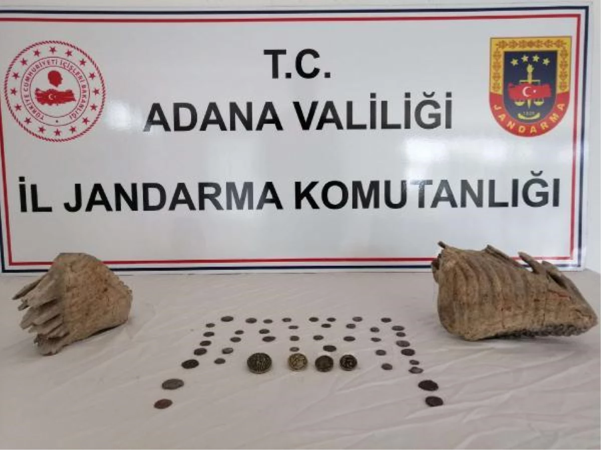 Adana\'da, otomobilde mamut fosilleri ele geçirildi