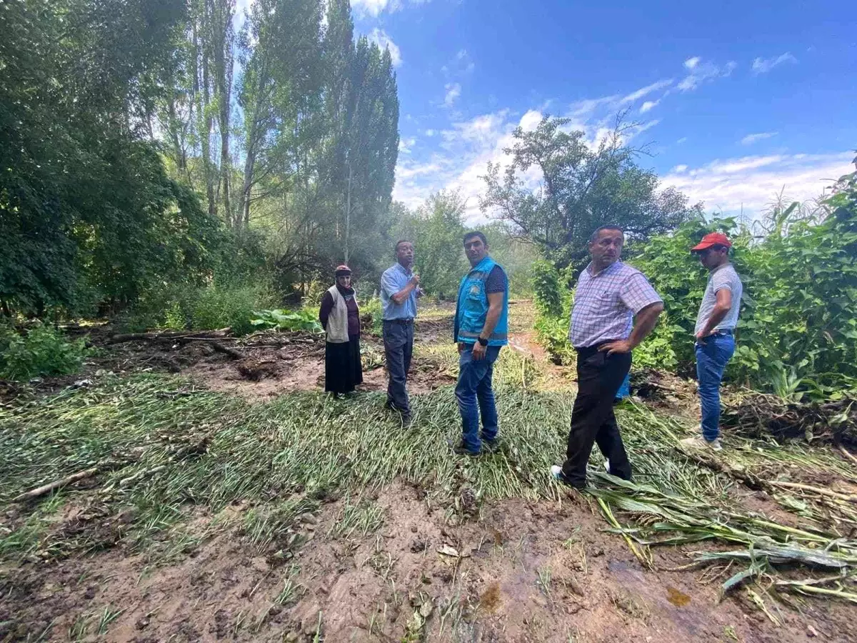 Aslanapa\'da selden zarar gören ekili alanlarda hasar tespit çalışması