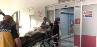 Baba ve 2 oğlu, evlerinin önünde otururken silahlı saldırıda yaralandı