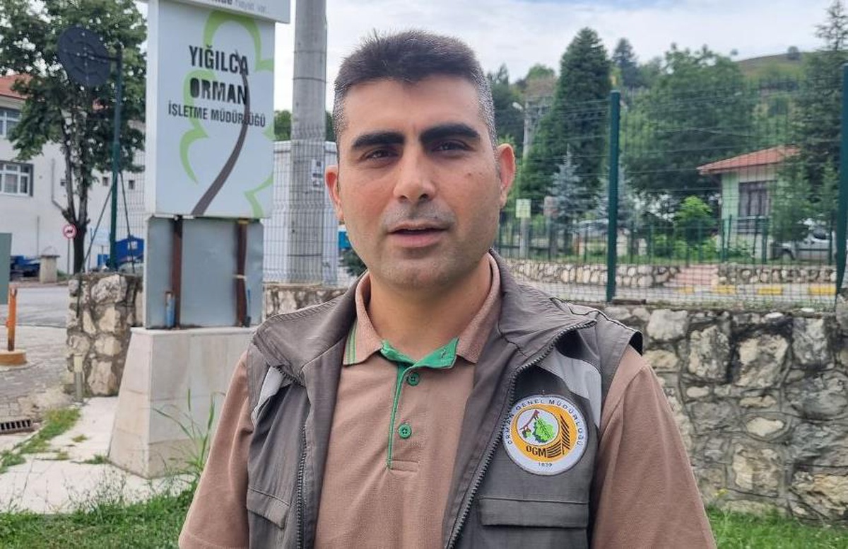 Balın dozunu kaçırdığı için bitkin düşen ayıyı bulan ormancı o anları anlattı Açıklaması