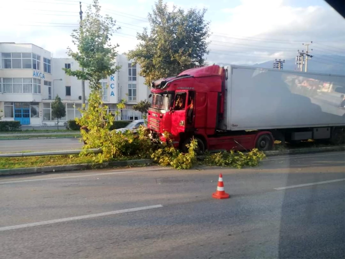 Bursa'da Kontrolden çıkar Tırı, Ağaçlar Durdurdu - Son Dakika