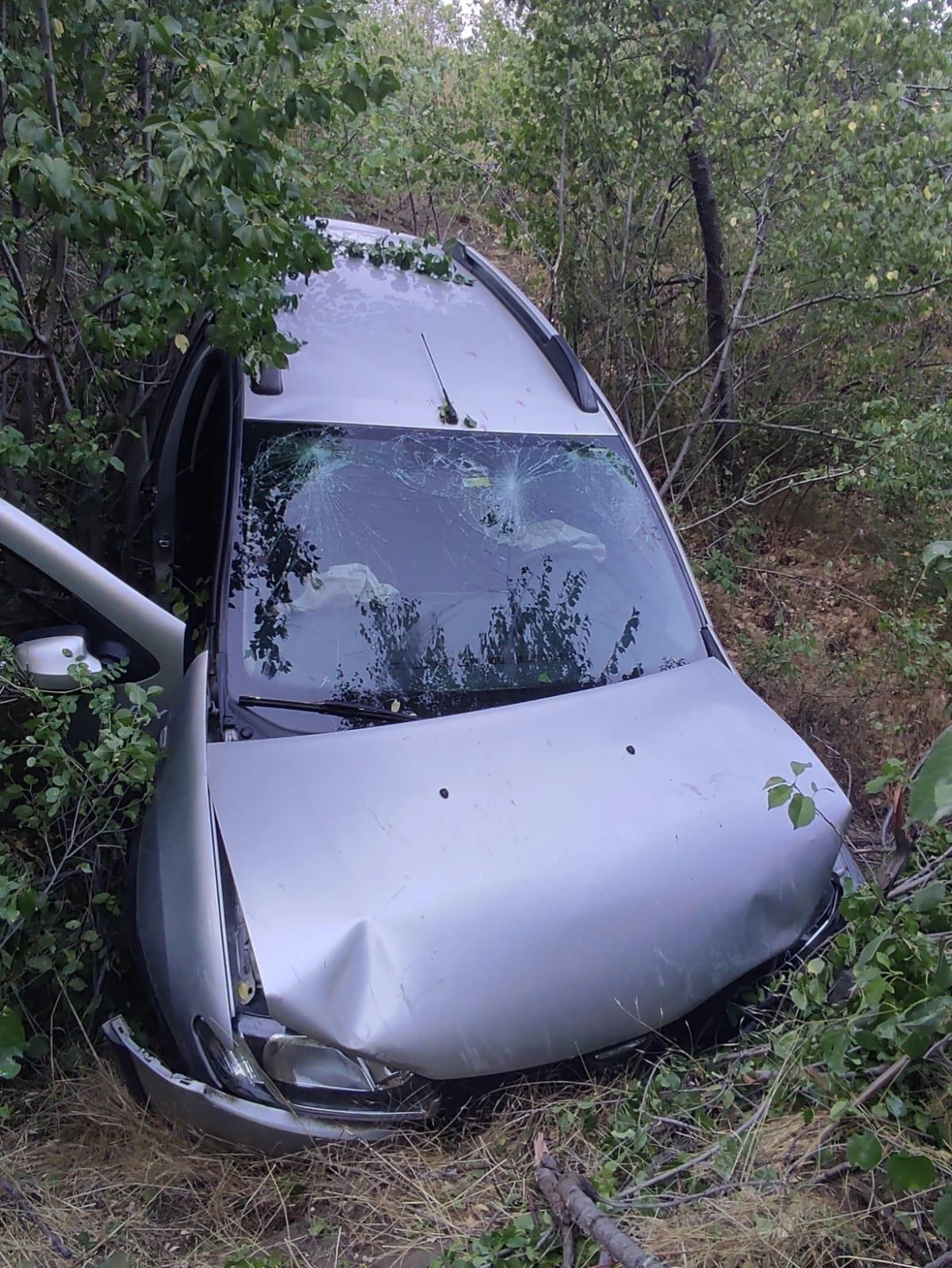 Erzincan\'da şarampole devrilen otomobildeki 7 kişi yaralandı