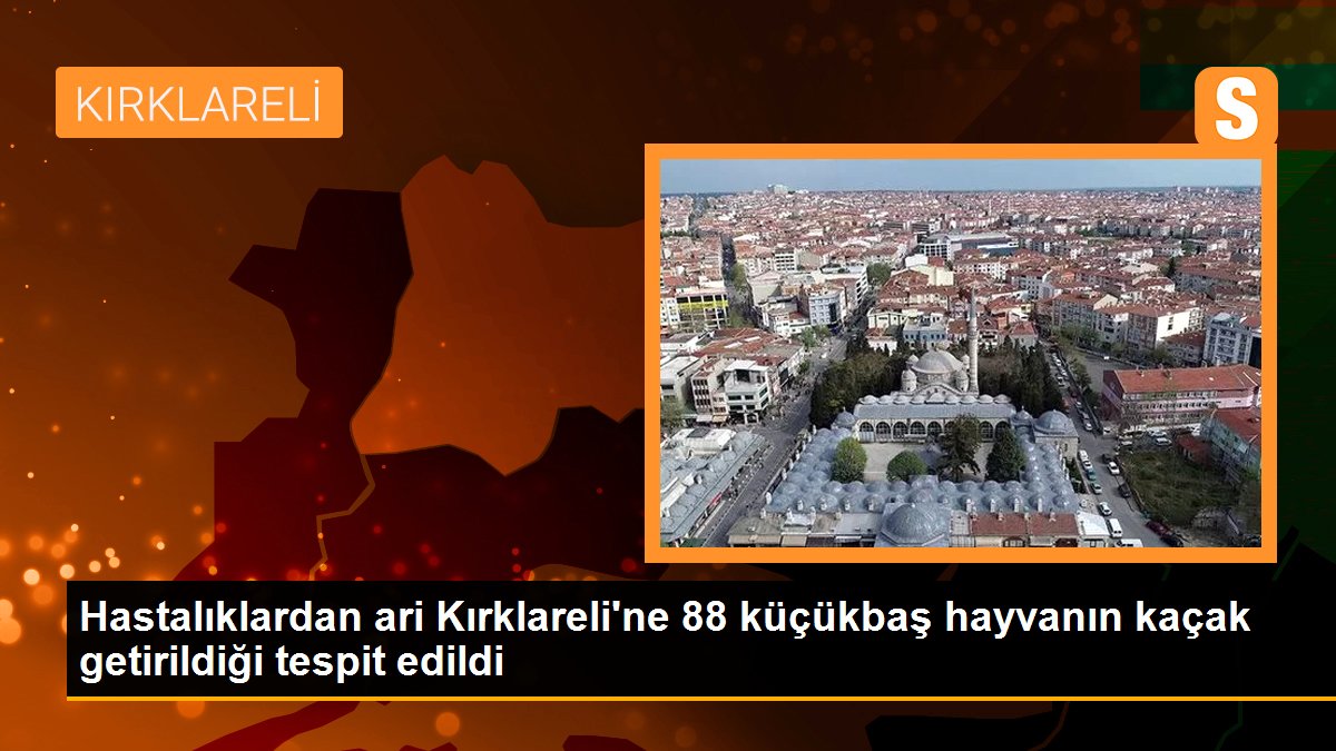 Hastalıklardan ari Kırklareli\'ne 88 küçükbaş hayvanın kaçak getirildiği tespit edildi
