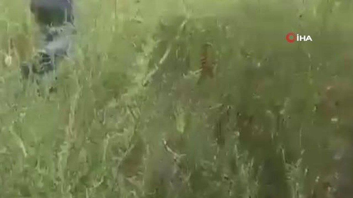 Jandarma zehir tacirlerine göz açtırmadı