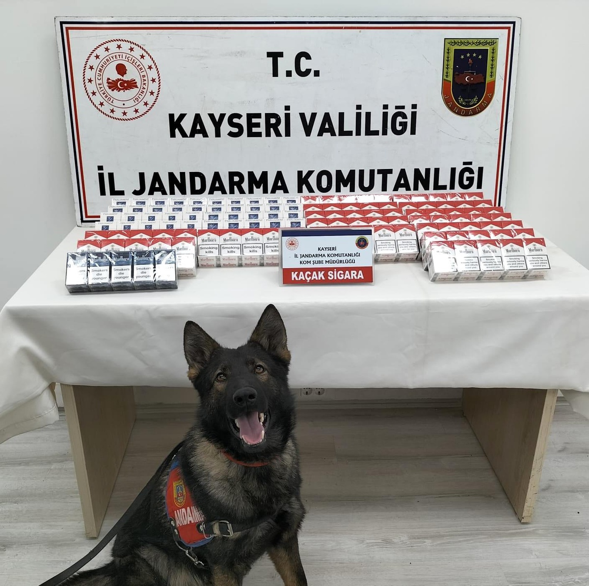 Jandarmadan kaçak sigara operasyonu