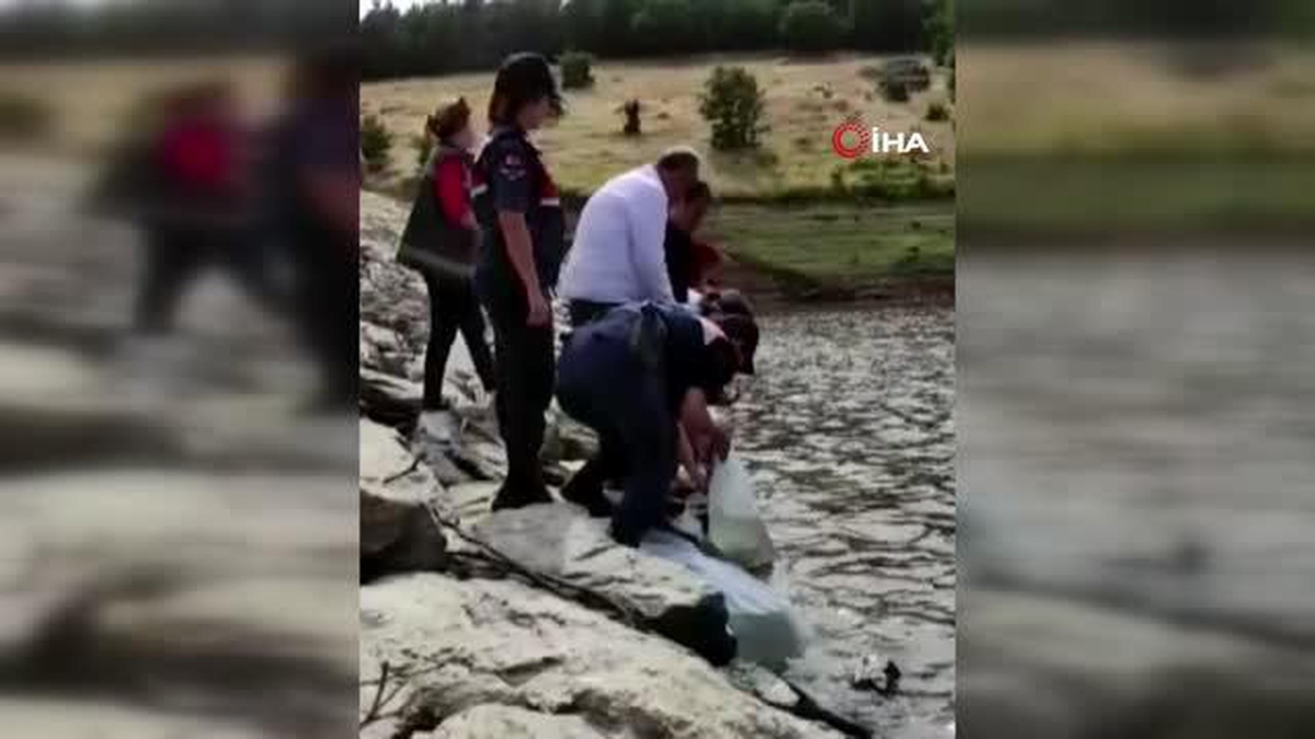 Kırklareli\'nde jandarma ekipleri göletlere balık yavrusu bıraktı
