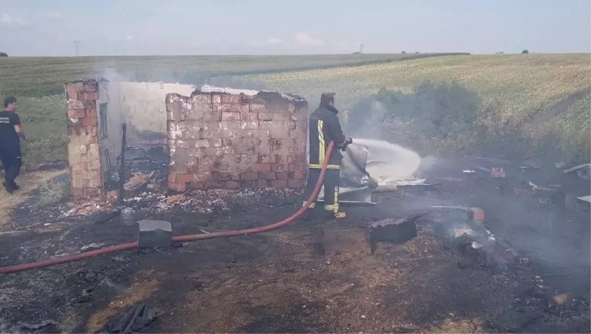 Kırklareli\'nde çıkan yangında 71 kovan arı telef oldu