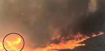 Çok nadir yaşanıyor! Yanan orman içinde çıkan alev hortumu görenleri şaşkına çevirdi