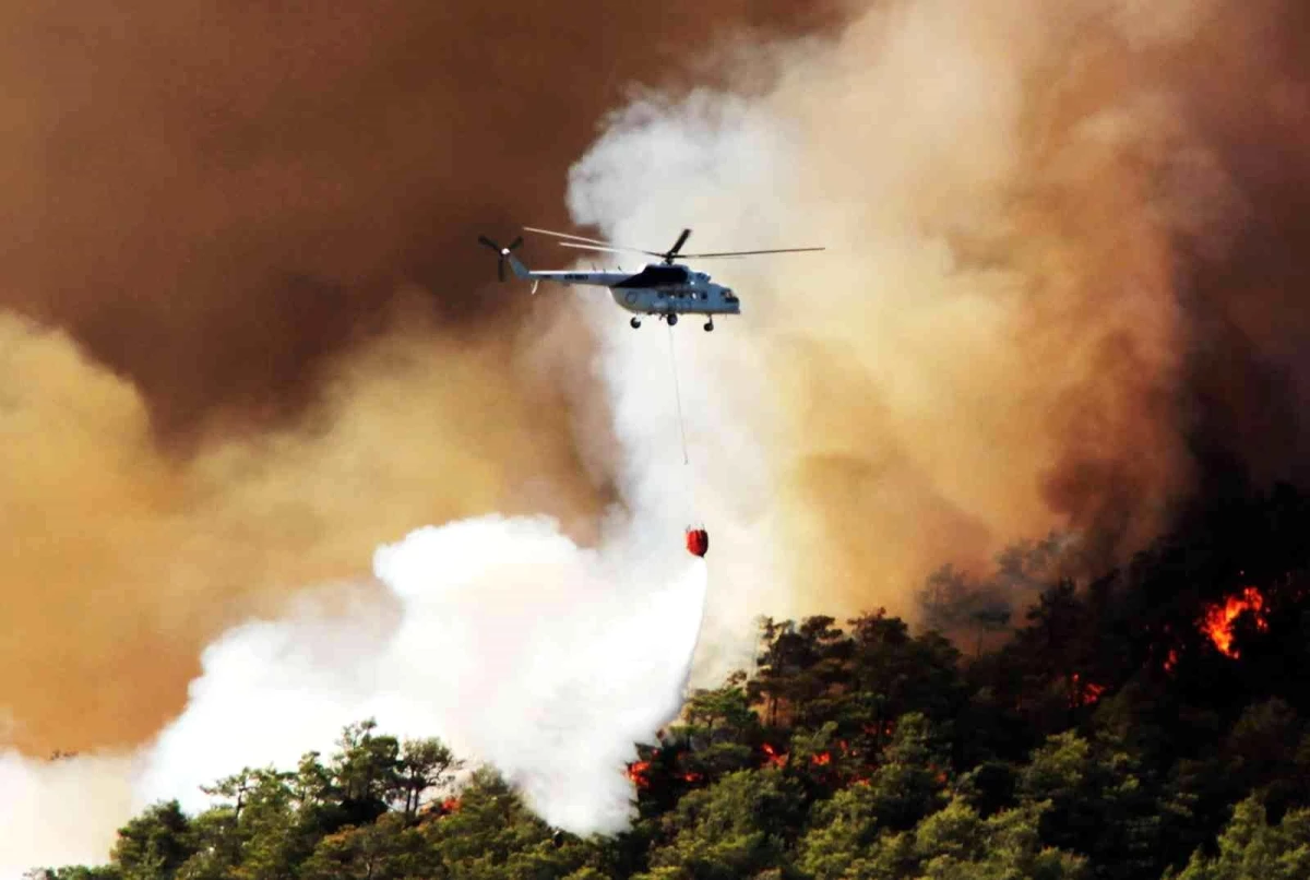 "Orman yangınlarının yüzde 87\'si insan kaynaklı"